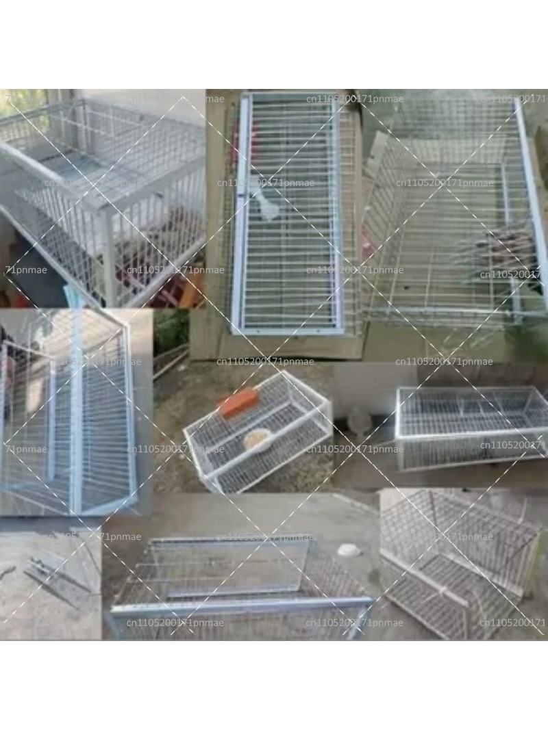 Kandang Perangkap Burung Merpa - Urban Farming Urban Gardening ulasan dan harga